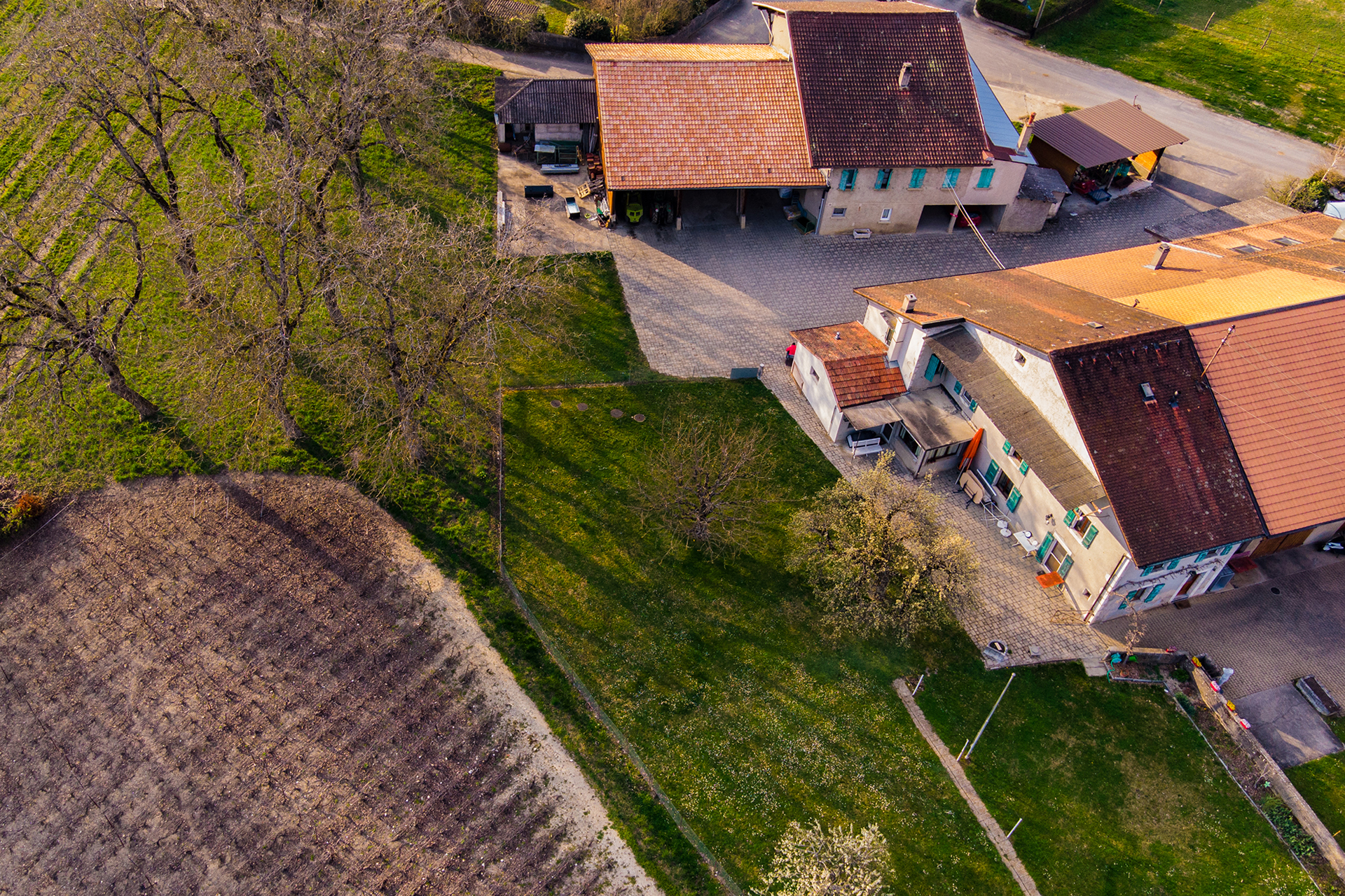 Un héritage vivant -1